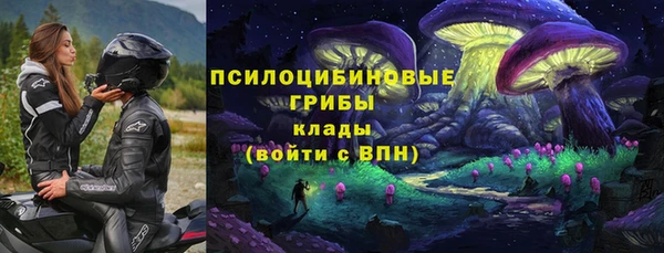 mdpv Беломорск