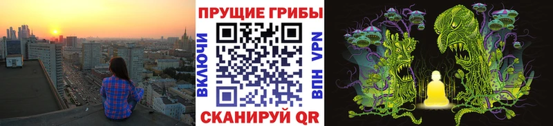 магазин  наркотиков  Холмск  Псилоцибиновые грибы MAGIC MUSHROOMS 